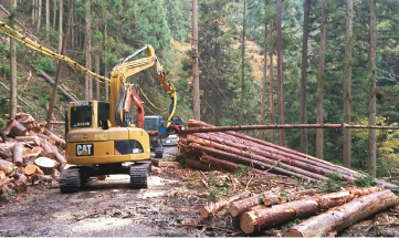 山林事業